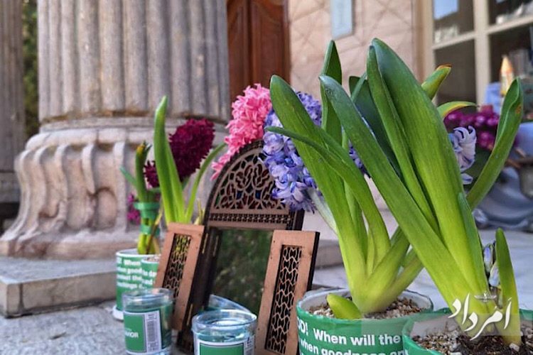 38590B99-6A60-426E-81F4-016292BE40C9