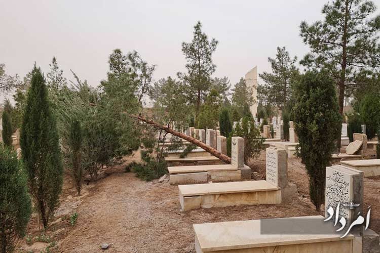 3fe851f9-93a0-4085-998e-5e39193d6181