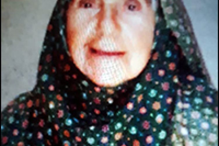 528a8d28-039b-490d-9372-5e01993bee5b