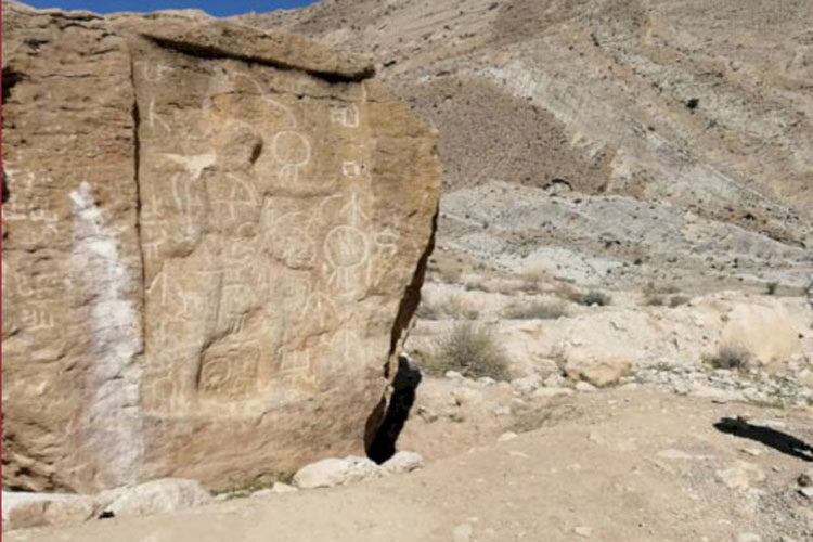 5fe98fc340f2932f76614822