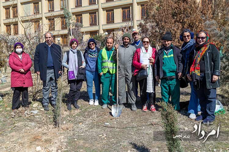 67_derakhtkari-amordad_park-zeytoon_14011201_273_Zarir Najmi