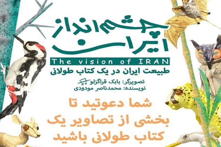 IMG-20241008-WA00000