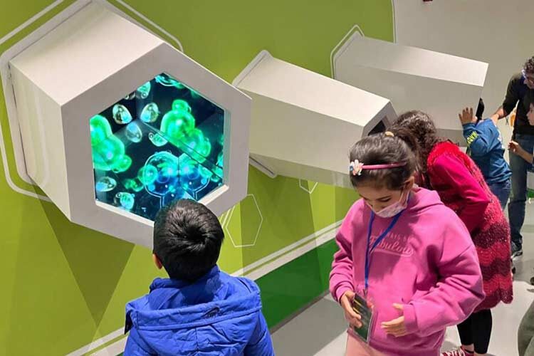 IMG_20221124_122600_733-1-1024x768