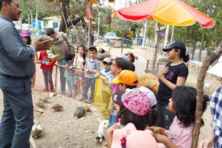 IMG_2025-06-11-194625