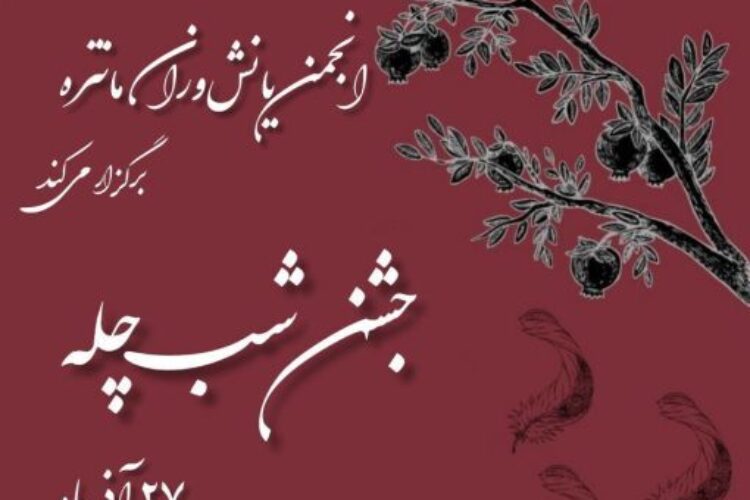 IMG_20251202_180906_415-510x720