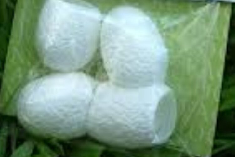 WhatsApp Image 2020-05-12