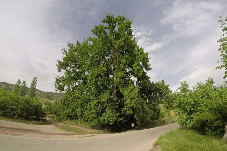 WhatsApp Image 2021-01-08 at 10.45.24 AM