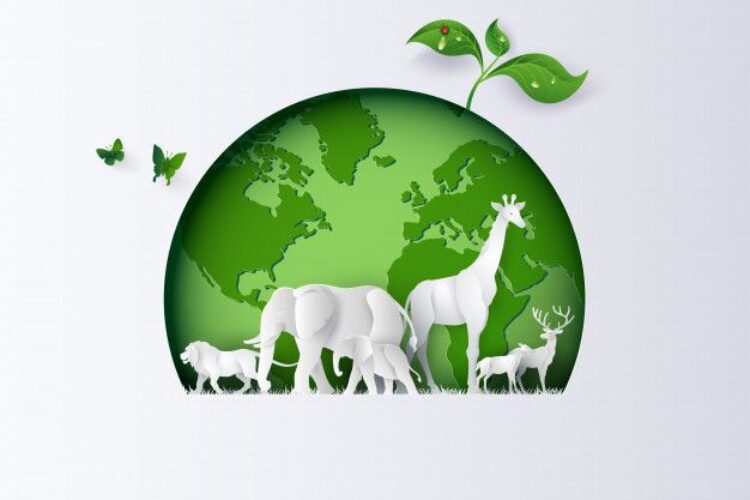 روز جهانی محیط زیست 2020