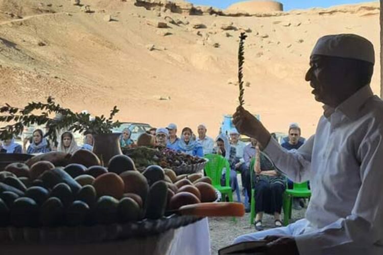 b64e03d6-1cb0-436a-9d26-74747b2ac954