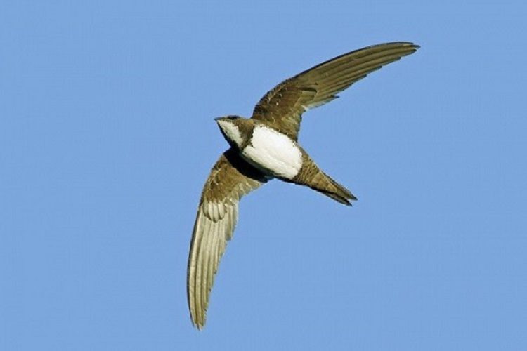 Image processed by CodeCarvings Piczard ### FREE Community Edition ### on 2013-10-10 09:20:52Z | http://piczard.com | http://codecarvings.com