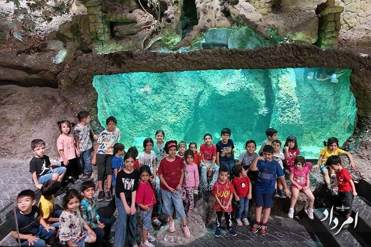 bb1c436d-60a2-4445-8269-be56643905e9