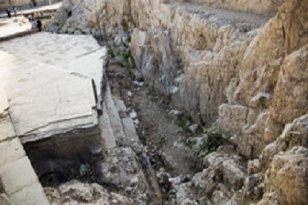 cheshmeali