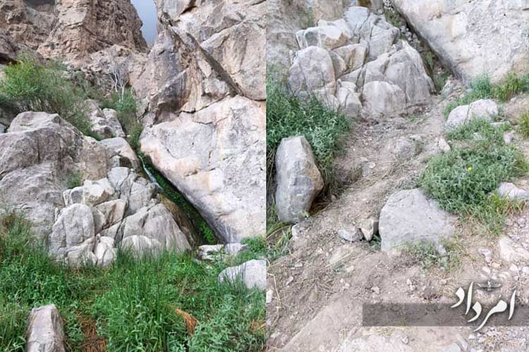 f2f9e061-30cd-4fc7-bde7-c165564ad1ba