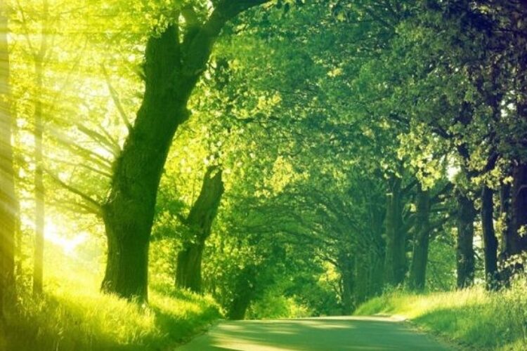 full_beautiful-text-to-congratulate-thirteen-on-9