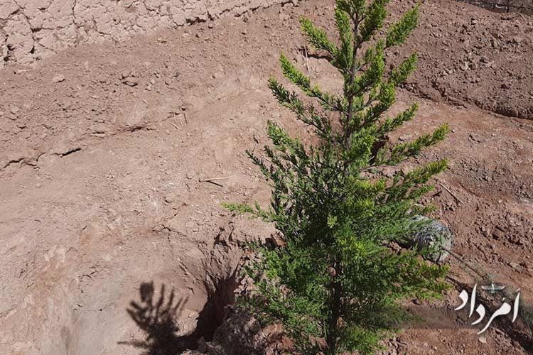 msg-1001096737279-24837