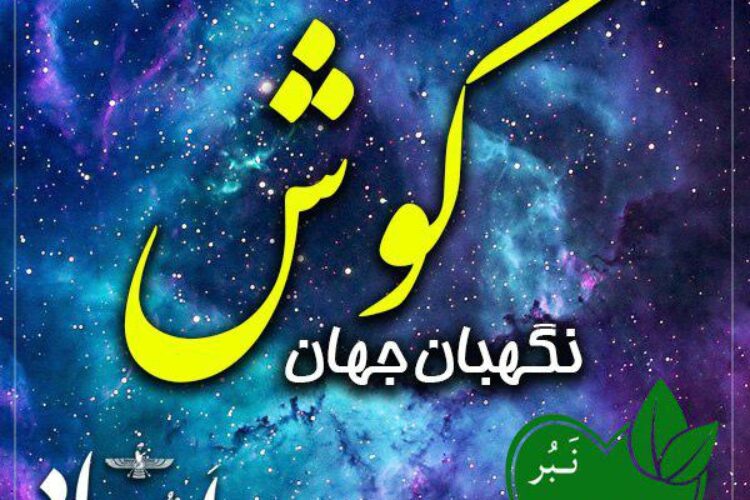 photo_2019-06-01_23-55-31