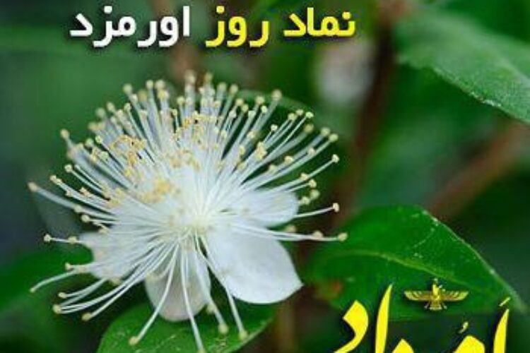 photo_2019-06-19_11-29-31