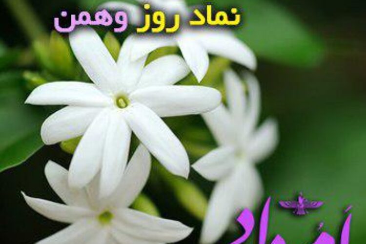 photo_2019-06-20_10-00-59