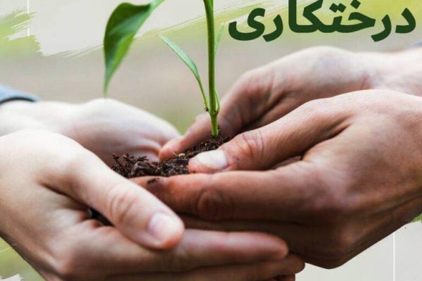 روز درختکاری- انجمن زرتشتیان یزد