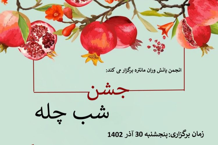 photo_2023-11-03_23-44-28