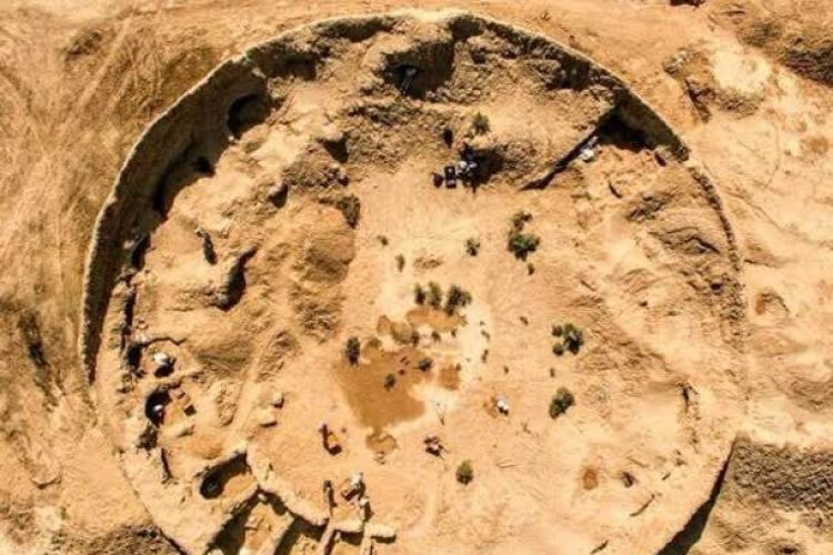 photo_2024-02-01_14-22-48