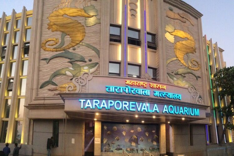 photo_2025-05-07_12-51-02