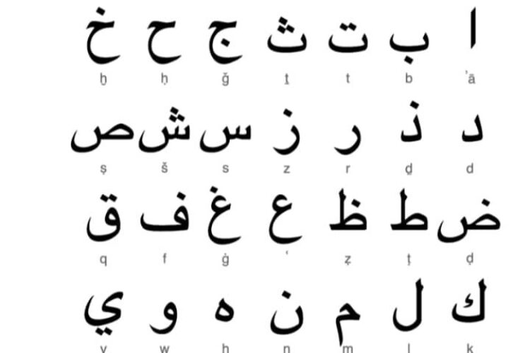 photo_2025-05-10_09-54-50