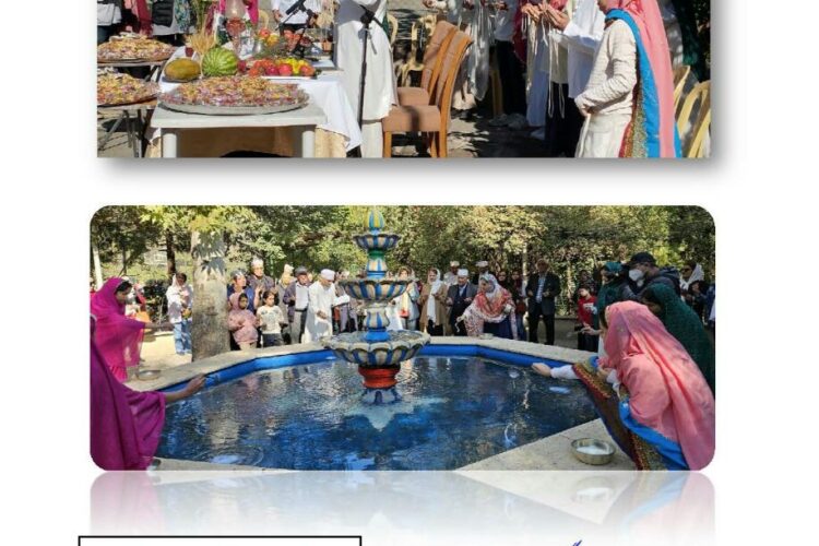 photo_2025-05-23_22-10-50