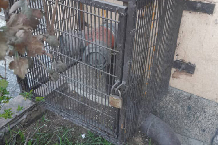 photo_2025-10-11_22-39-