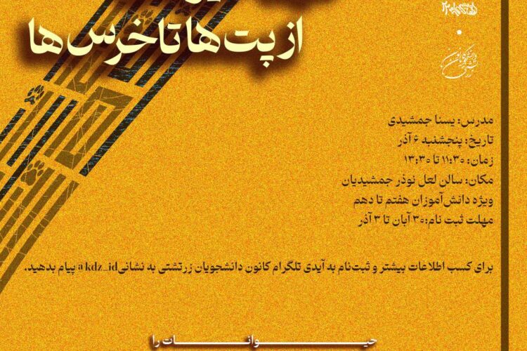 photo_2025-11-21_21-24-06