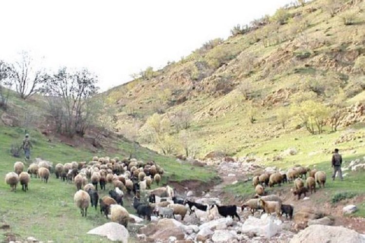 soQC6tqokUCGUCzSTaeaZw-002