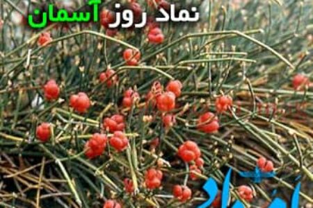 آسمان گل هوم