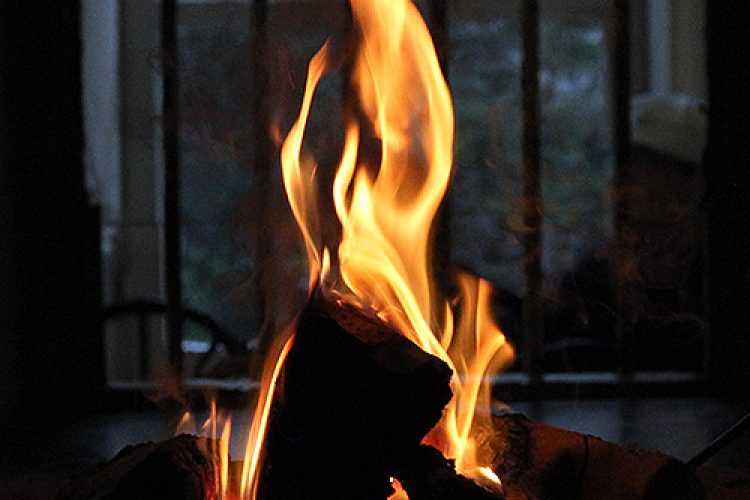 ارذیبهشت روز