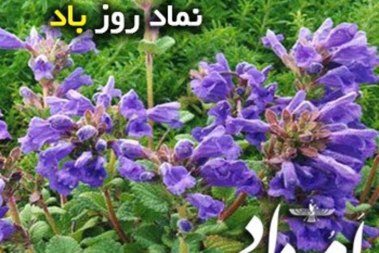 باد ایزد