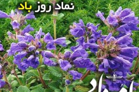 باد بادنگ بویه