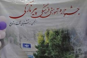 جشنواره نارکی