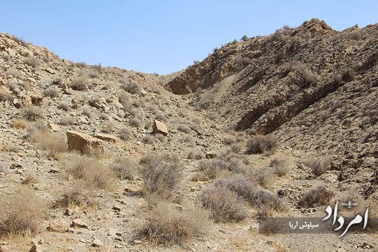 راه-انتهایی-دشت-باران-که-به-سنگ-نبشته-پهلوی-می-رسد