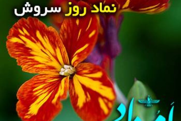 سروش خیری سرخ