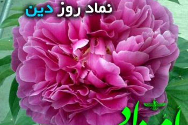 صد برگ دین