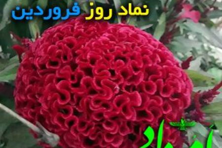 فروردین بستان افروز
