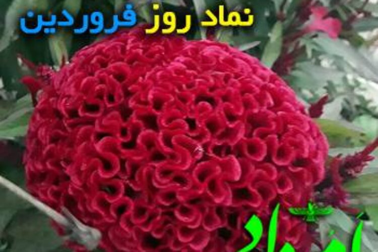 فروردین بستان افروز