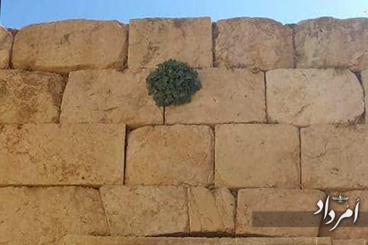 معبد اناهیتا بیشابور