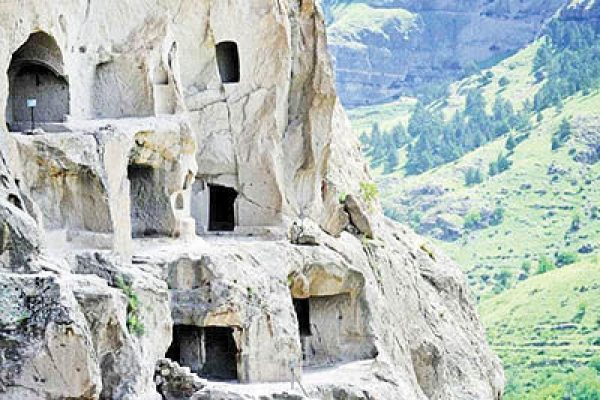 واردزیا