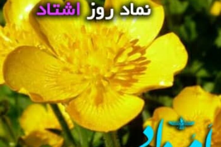 گل اشتاد ایزد آلاله